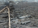 Последствия пожара в Сватово