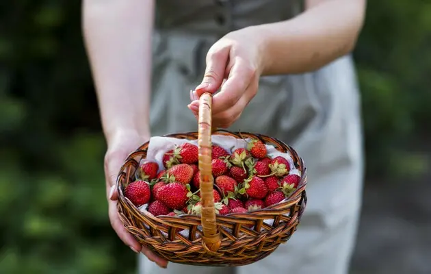 Ціни на ягоди: в Україні подорожчала полуниця
