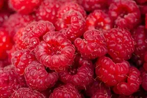 Рекордний експорт українських заморожених фруктів: яка з країн найбільше купує 