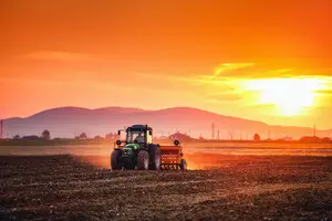 В Україні скоротиться врожай зернових – USDA 