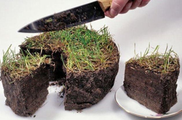 Рибаков вимагає встановити мінімальний розмір річної орендної плати за користування земельним паєм у розмірі не менше 5% від його вартості.