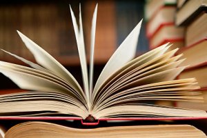 Утвержден перечень книг, которые выпустят в 2013 году за счет бюджета