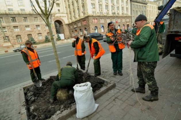 С Крещатика уберут поддельные каштаны и еще раз закупят итальянские