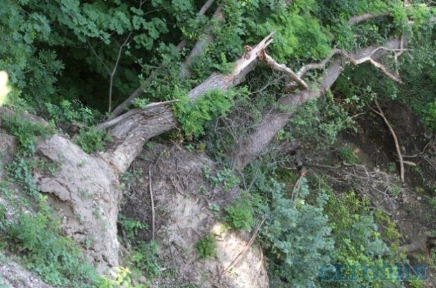 В начале июня оползень сошел возле Мариинского дворца