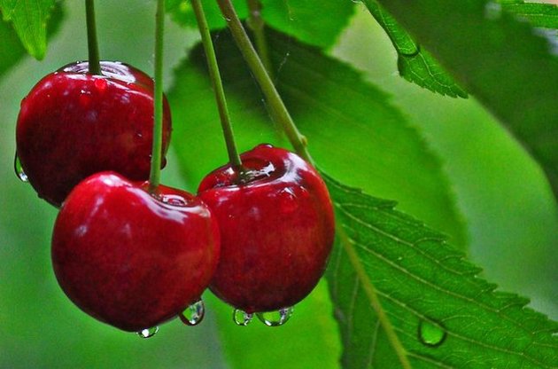 Дождей будет меньше