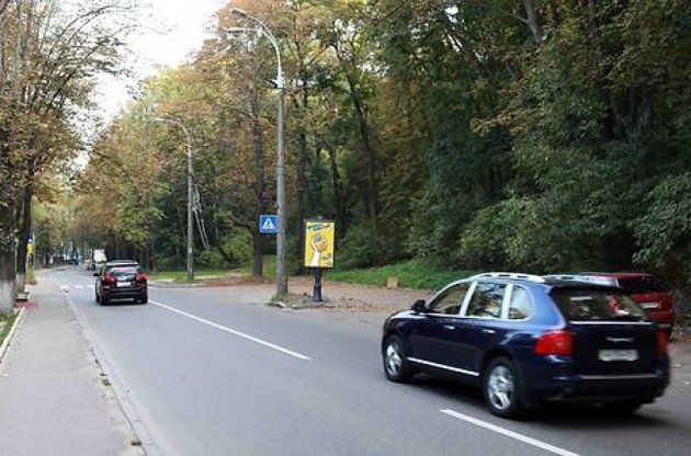 В Киеве ради расширения Парковой дороги вырубят более 200 деревьев