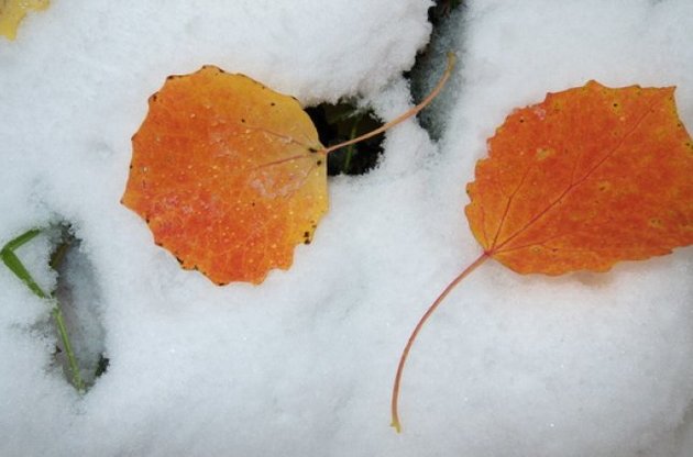 На высокогорье Карпат - дожди с мокрым снегом