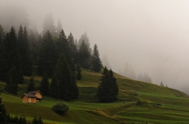 Человечество &quot;выгоняет&quot; леса планеты с равнин в горы