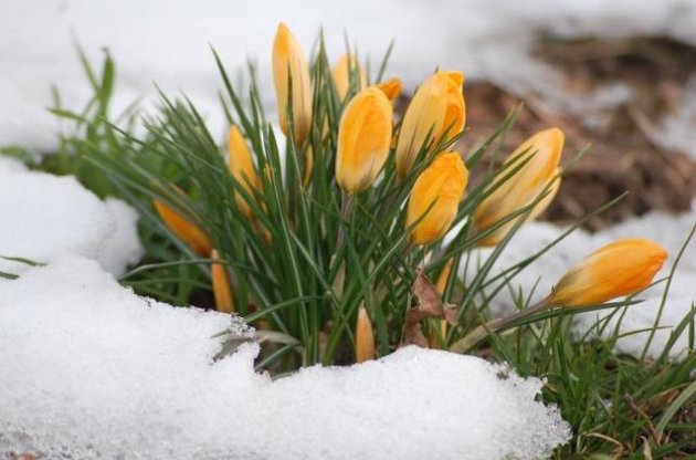 К концу недели дневная температура в Украине будет уже выше нуля