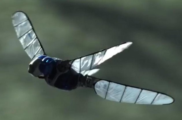Немецкие инженеры продемонстрировали летающих роботов - чайку и стрекозу