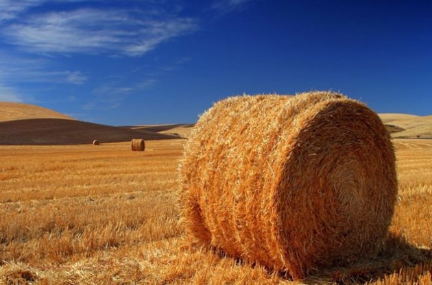 Замінити газ можна соломою з полів