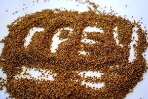 Затраты мажоритарщиков на подкуп избирателей оценили в один-три миллиона долларов