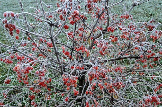 В Україну надходить холодне повітря з півночі