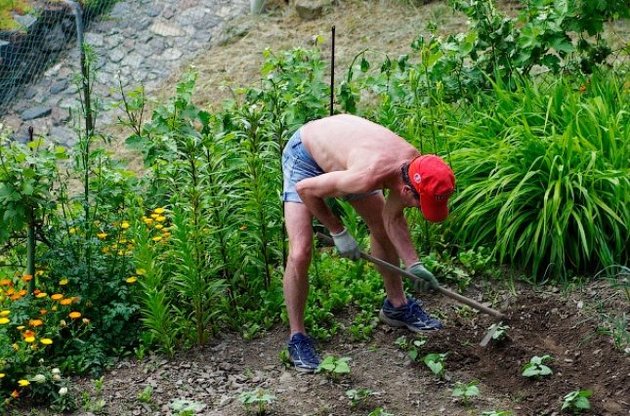 Зареєструватися можна буде на дачі