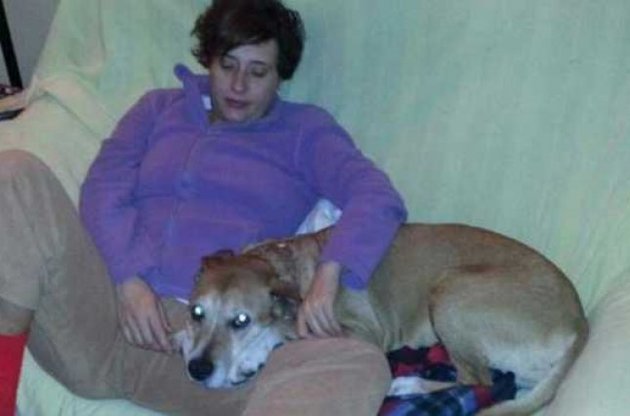 Захисникам пса Эскалибура нагадали про тих, що гинуть в Африці дітей