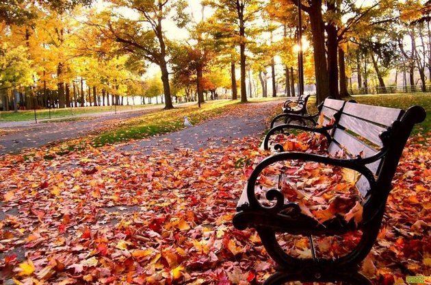 До кінця тижня у всіх областях країни без опадів