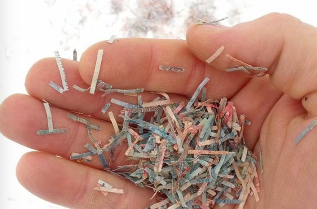 Під снігом знайшли близько мільярда розрізаних гривень