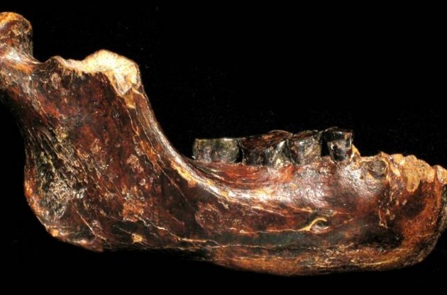 Команда ученых потратила пять лет на анализ найденной кости