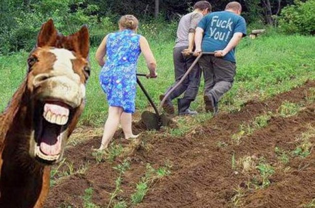 Украинцы ответили юмором