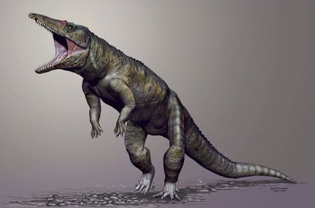 Ученые нашли останки предшественника динозавров - древнего крокодила