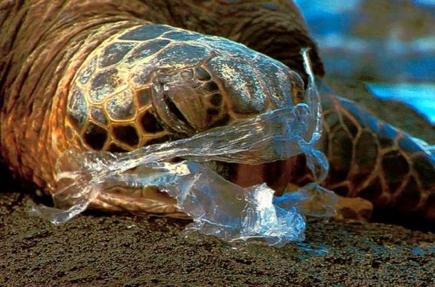 Країни ЄС скоротять використання поліетиленових пакетів, які шкідливі для екології