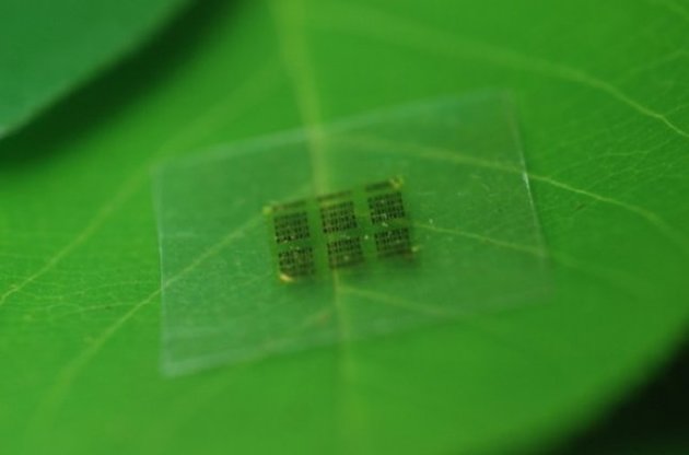 Ученые создали биоразлагаемый компьютерный чип из дерева