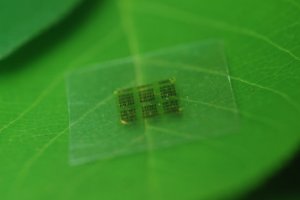 Ученые создали биоразлагаемый компьютерный чип из дерева