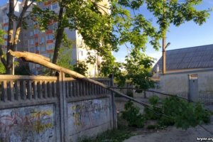 В Крыму ураган валит деревья, Керченская переправа остановлена