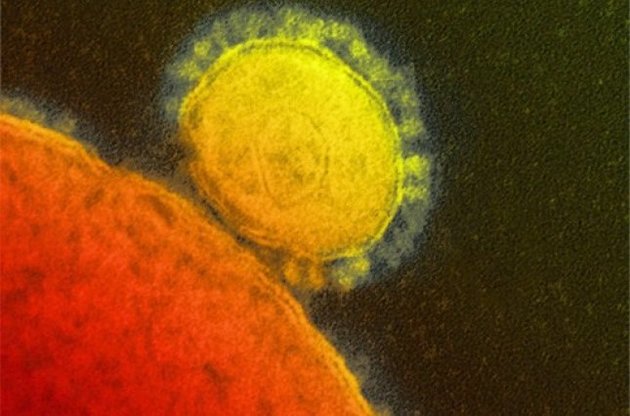 Всього на даний момент вірус MERS підтверджений у 166 осіб