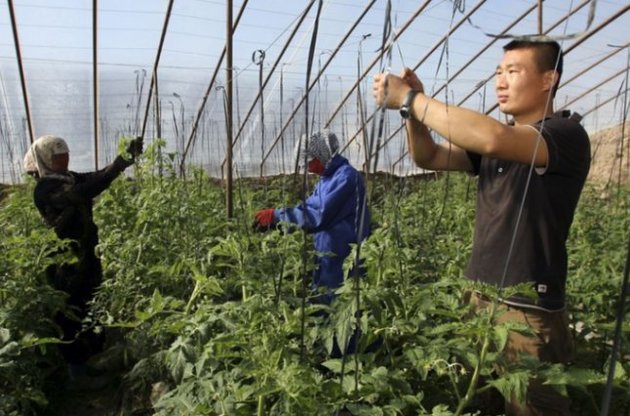 Китайські компанії хочуть орендувати російську землю. Ілюстрація