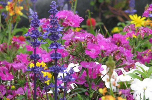 На Івана Купала в Україні буде спекотно