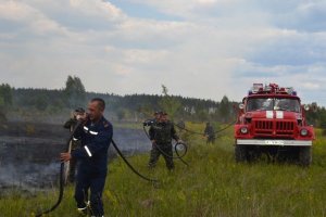 Девятые сутки пожарные не могут потушить торфяники в "Чернобыльской пуще"