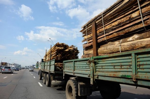 Порошенко подписал закон о моратории на экспорт леса спустя три месяца после его принятия Радой