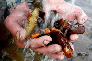 Милиция заявила о прекращении нелегальной добычи янтаря на Житомирщине