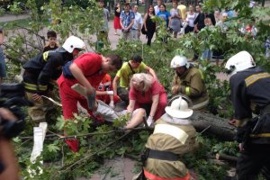 Ураган в Одессе обрушил дерево на человека