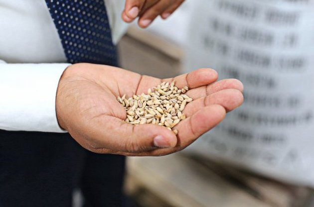 Україна розраховує збільшити експорт зерна в Іран