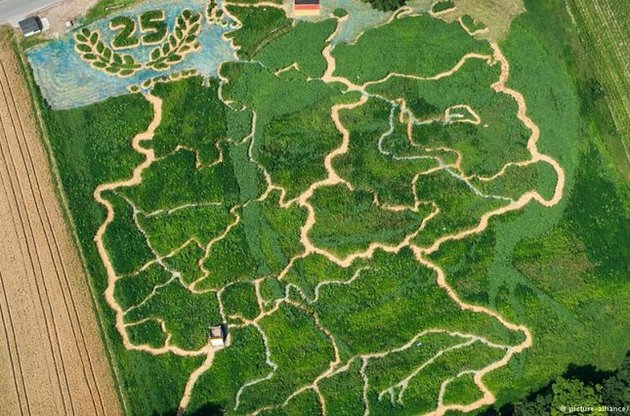 Лабіринт зроблений з конопель, кукурудзи та соняшнику