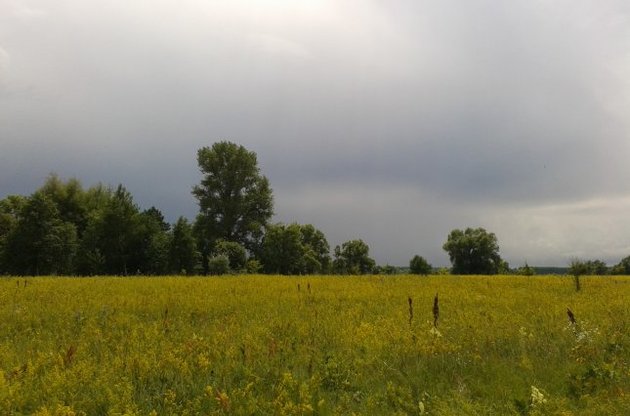 В Украине ожидаются грозы