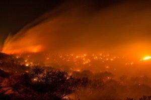 У Каліфорнії масштабна пожежа охопила тисячі гектарів лісу