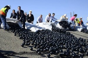 В Лос-Анджелесе ради спасения от засухи сбросили в водохранилище 96 млн черных шаров