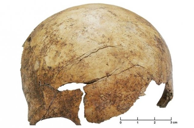 Знайдені кістки людей кам'яної доби вказують на найдавніші масові катування