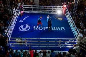 Усик и Беринчик провели открытую тренировку перед вечером бокса в Киеве
