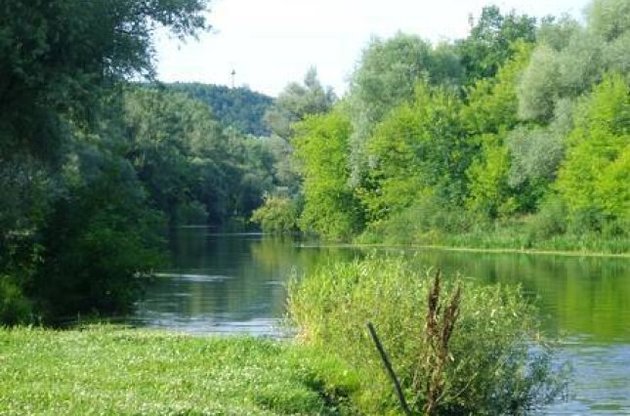 По оценкам ученых, каждый год в мире вырубается 15 миллиардов деревьев