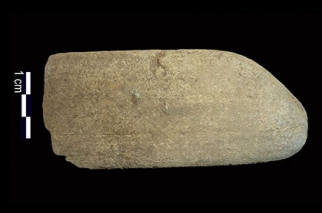 Вчені виявили сліди зерен вівса на стародавньому знарядді