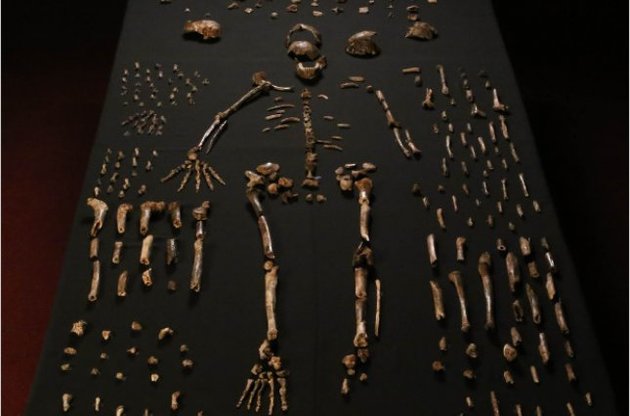 Антропологи обнаружили неизвестный ранее вид древних людей