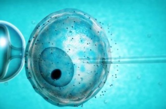 Британські вчені попросили дозвіл на модифікування генів ембріона людини