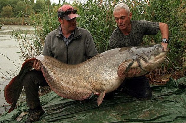 В Украине хотят сделать рыбалку платной