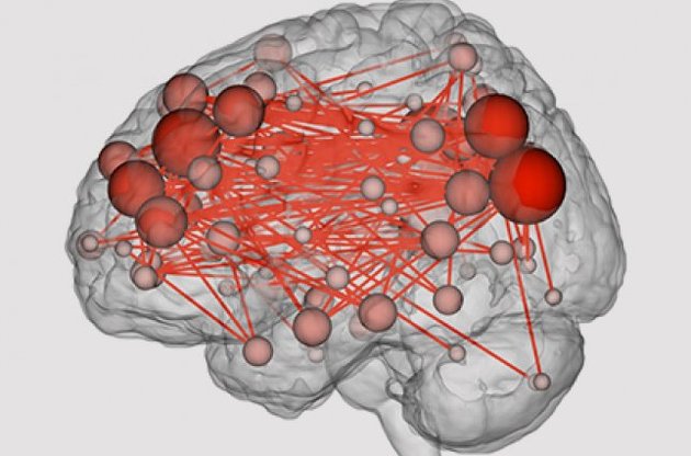 Зв'язки всередині мозку можуть бути використані для ідентифікації особистості