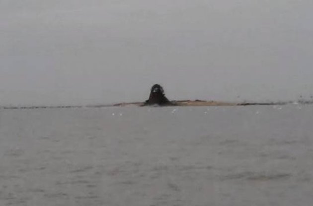 В Азовском море из-за извержения вулкана появился грязевой остров