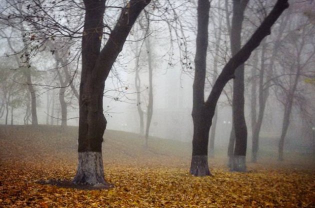 Глобальне потепління призведе до різкого збільшення кількості туманів